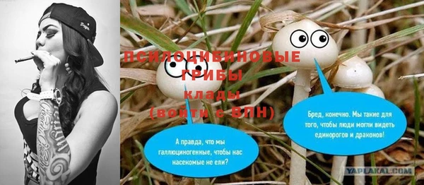 круглые Алзамай