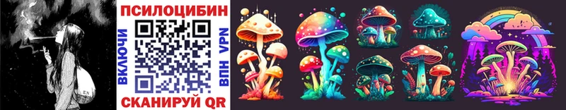 где купить   omg рабочий сайт  Галлюциногенные грибы Psilocybine cubensis  Ахтырский 