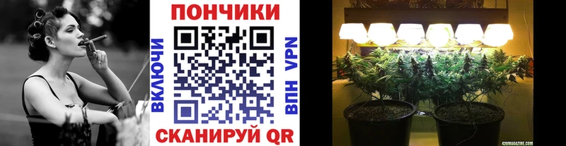 Шишки марихуана ГИДРОПОН  Ахтырский 